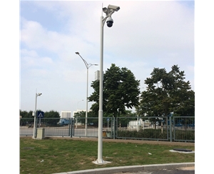 伊吾道路监控杆-LB-05