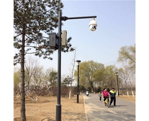 伊吾小区监控杆-LB-02